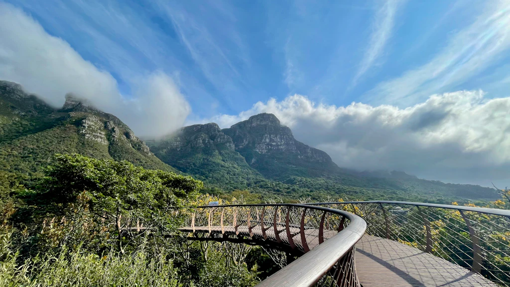The Kirstenbosch tree canopy walkway with the mountain behind